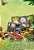 Fungi - Imagem 3