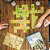 Carcassonne - Imagem 2