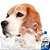 Banho Beagle - Imagem 2