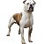 Banho Bulldog Campeiro - Imagem 1