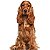 Banho Cocker Spaniel - Imagem 1