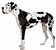 Banho Dog Alemão - Imagem 1