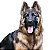 Banho King Shepherd - Imagem 1
