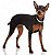 Banho Pinscher - Imagem 1