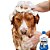 Banho Anti Pulgas Adicional - Cão Médio - Imagem 2