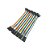 Jumpers Macho/Femea 40 Unidades de 10cm - Imagem 7