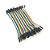 Jumpers Macho/Macho 40 Unidades de 10cm - Imagem 2