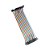 Jumpers femea/femea  40 unidades 20cm - Imagem 5