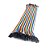 Jumpers femea/femea  40 unidades 20cm - Imagem 2