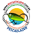 Molinete de Pesca Sahara Brisa 5 Rolamentos Drag 8 KG Tamanhos 3000 4000 5000 6000 7000 Carretel de Alumínio Cor Cinza com Detalhes Dourado - Imagem 3