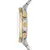 Fossil Two Tone BQ2693 - Imagem 2