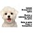 Shampoo e Condicionador Pet Clean Pelos Claros 700ML - Imagem 3