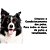 Shampoo e Condicionador Pet Clean Neutro 700ML - Imagem 4