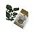 Catnip Super Premium 5gr - Imagem 1