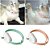 Coleira Com Laser Para Gatos - Imagem 4