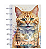 Caderneta de Saúde Pet - 011 - Gato amarelo rajado - SRD - Imagem 1