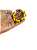 Ide de Oxum - Imagem 2