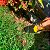 Kit de Jardinagem 3 Peças Antiderrapante Resistente - Imagem 9