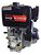 Motor Estacionário 13hp Diesel Partida Elétrica Kawashima - Imagem 7