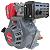 Motor Diesel Branco 13 cv Bd-13.0 - Imagem 3