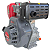 Motor Diesel Branco 13 cv Bd-13.0 - Imagem 5