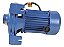 Motobomba Centrifuga 0.5hp Eletroplas Bivolt 12mca 3m³h - Imagem 7