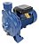 Motobomba Centrifuga 0.5hp Eletroplas Bivolt 12mca 3m³h - Imagem 1