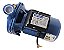 Motobomba Centrifuga 1hp Eletroplas Bivolt 5.2m³/h - Imagem 5