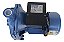 Motobomba Centrifuga 2cv Eletroplas 38mca 7m³/h Bivolt - Imagem 9