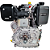 Motor Diesel Branco Bd10 Xs 10hp 10cv - Imagem 6
