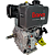 Motor Diesel Branco Bd10 Xs 10hp 10cv - Imagem 5