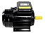 Motor Elétrico 2p Monofásico 2,0cv 127v/220v Yl90s-2 Lynus - Imagem 1