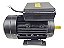 Motor Elétrico 4p Monofásico 2,0cv 127v/220v Yl90l-4 Lynus - Imagem 4