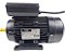 Motor Elétrico 3cv 4 Pólos Monof. Bivolt Ip55 Yl100l1 Lynus - Imagem 9