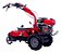 Tratorito Multiagro BTTG 6,5  BRANCO 6,5HP Gasolina - Imagem 1