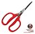 Tesoura p/ Colheita Uva Raleio Poda Inox 15cm - Imagem 4