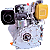 Motor Diesel Estacionário Part.manual 5.0hp / cv 4t Bfd 5.0 - Imagem 8