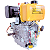 Motor Diesel Estacionário Bfd 7cv Part Elétrica Buffalo - Imagem 8