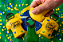 Abridor Seleção Brasileira - Imagem 2