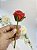 Kit Novena das Rosas - Imagem 8