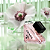 Prada Paradoxe Feminino Eau De Parfum - Imagem 6
