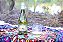 GO UP Sauvignon Blanc - Imagem 4