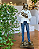Estatueta veterinária - Imagem 1