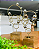 Escultura decorativa - Imagem 1