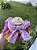 Avental Junino Floral Rosa 100cm - Imagem 3