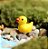 Kit 10 mini patos Decoração Maquetes, Mini Mundos, Terrário - Imagem 5