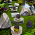 Kit C/ 5 Casinha Casa Miniatura Mini Mundo Jardim Terrario - Imagem 5