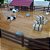 SÍTIO capim-guiné – Kit Mini Fazenda com Vaquinhas, Cercas, Arvores – Maquete,Terrário, Diorama Trabalho Escolar - Imagem 6