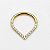 Piercing Argola em Gota frontal Cravejada (Titânio) - Imagem 3