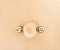 Piercing de Mamilo com Zircônias (Titânio) - Imagem 2
